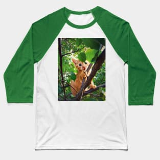 kitten in the tree Baseball T-Shirt